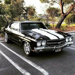 Meet your Posher, Jorge